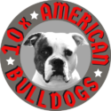 10X American Bulldogs